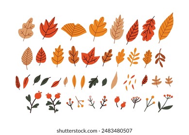 Set von bunten Herbstblättern und Beeren isoliert auf weißem Hintergrund. Gelbes Herbstsaison-Gartenblatt, rote trockene Blätter. Einfache Cartoon flachen Stil, Vektorgrafik Illustration.