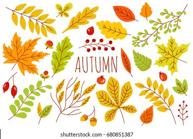 Set colorful autumn leaves   berries  Isolated white background  Simple cartoon flat style  vector illustration 