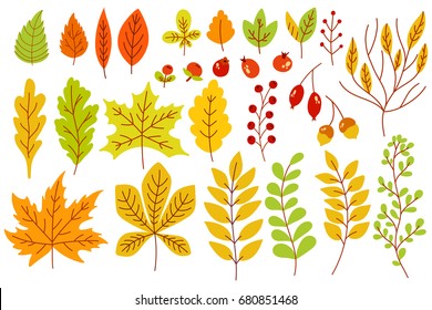 Set colorful autumn leaves   berries  Isolated white background  Simple cartoon flat style  vector illustration 