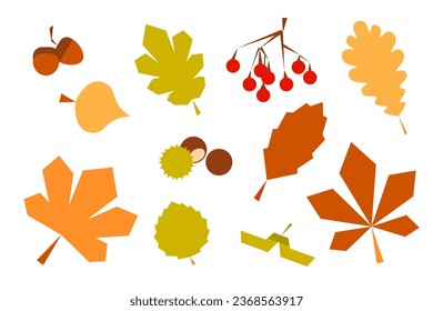 Set of colorful autumn leaves, chestnut, acorn and berry. Yellow and orange leaves isolated on white background. Simple curly flat style. Vector illustration.