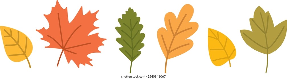 Set of colorful autumn leaves.  Collection of fall elements isolated on white background