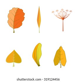 Set of colorful autumn leaves. Collection colorful autumn leaves isolated on white background. Various autumn leaves isolated on white background. Set of autumn levels icon