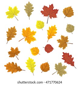 Set of colorful autumn leaves. Design elements Vector illustration. Leafs in random. White background.