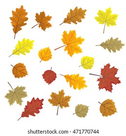 Set of colorful autumn leaves. Design elements Vector illustration. Leafs in random. White background.