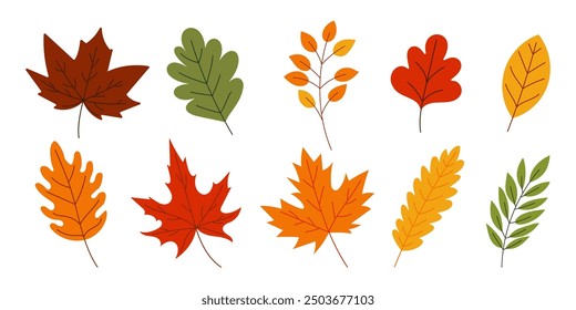 A set of colorful autumn leaves are drawn in various sizes and styles. The leaves are arranged in a row, with some overlapping and others standing alone. Scene is cheerful and vibrant