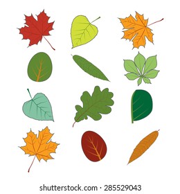 Set of colorful autumn leaves. Editable Vector illustration.