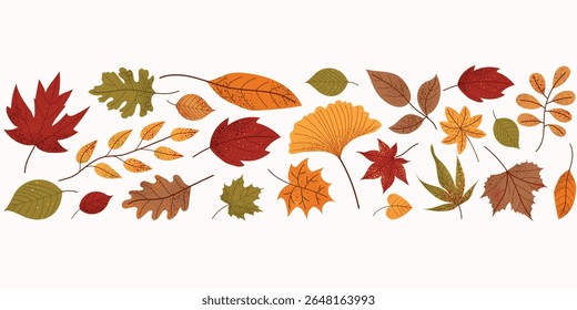 Set of colorful autumn leaves. Flat vector illustration with maple, oak, birch, chestnut and ginkgo leaves. Seasonal autumn design elements isolated on white background. Horizontal botanical banner.