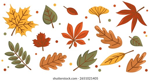 Conjunto de folhas de outono coloridas. Ilustração vetor plana com bordo, carvalho, vidoeiro, folhas de castanheiro. Elementos de design de outono sazonal isolados sobre fundo branco. Banner botânico horizontal.