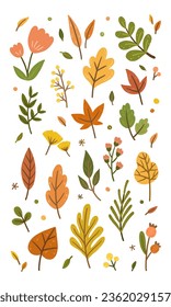 Set of colorful autumn leaves and floral. Hand drawn autumnal Foliage plants, oak, maple, black gum, dog wood. Seasonal botanical. Flat cartoon style vector illustration isolated on white background