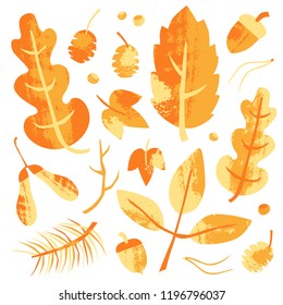 Set of colorful autumn leaves and forest elements. Textured  hand drawn vector illustration isolated on white background. Craft stamp style.