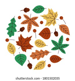 Set of colorful autumn leaves in the form of a circle. Isolated on white background. Simple hand drawn vector illustration.