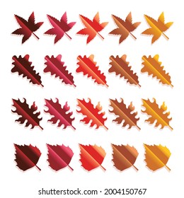Set of colorful autumn leaves Isolated on white background.