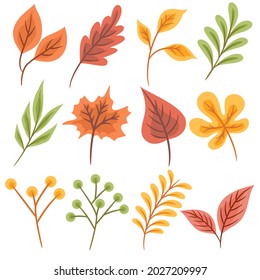 Set of colorful autumn leaves Isolated on white background