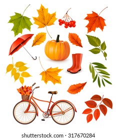 Set of colorful autumn leaves and objects. Vector illustration. 