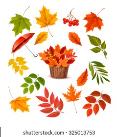 Set of colorful autumn leaves and objects. Vector illustration.