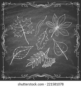 Set of colorful autumn leaves on blackboard. Vector illustration.