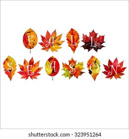 A set of colorful autumn leaves on a white background.