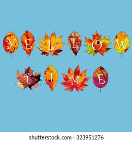 A set of colorful autumn leaves on a white background.