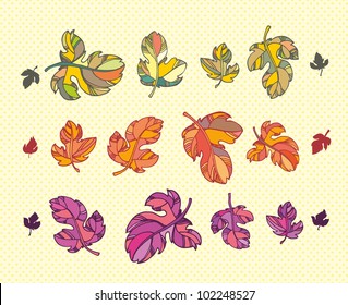 set of colorful autumn leaves. outlines and bright colors