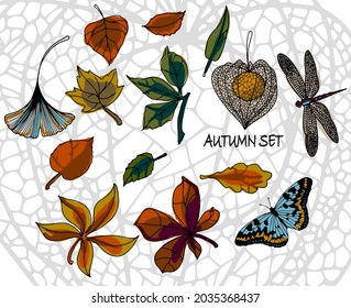 Set of colorful autumn leaves and physalis. Set of autumn social media stories. Colorful banners with autumn illustrations. Autumn stickers. Bright postcards. Vector eps 10
