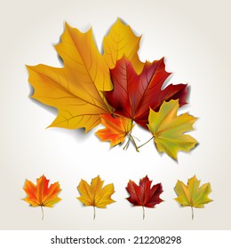 Set of colorful autumn leaves with shadow. Vector illustration