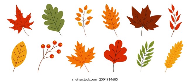 A set of colorful autumn leaves are shown in various sizes and orientations. The leaves are arranged in a row, with some overlapping and others standing alone. Scene is warm and inviting