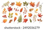 Set of colorful autumn leaves. Vector elements on transparent background. Fall foliage