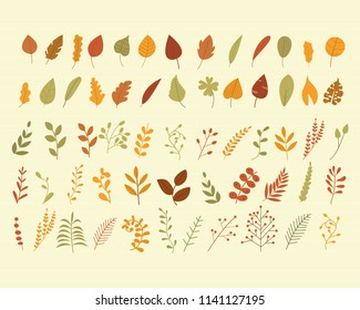 Set of colorful autumn leaves. vector illustration.