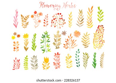 Set of colorful autumn leaves. Vector illustration.vector set of red autumn watercolor leaves and berries, hand drawn design elements