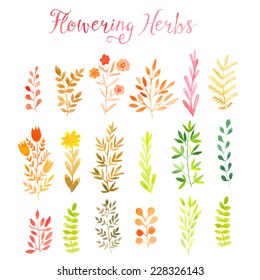 Set of colorful autumn leaves. Vector illustration.