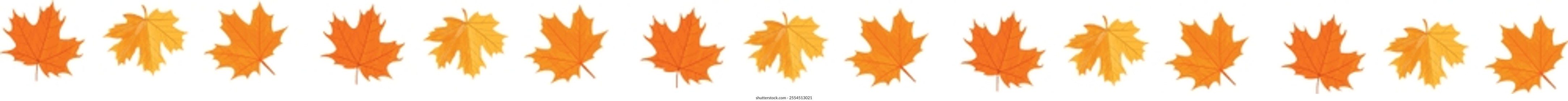 Set of colorful autumn leaves. Vector elements on transparent background. Fall foliage. Autumn leaves fall separator thanksgiving on transparent background. Abstract autumn panorama with colorful leav