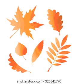 Set of colorful autumn leaves. Vector illustration.