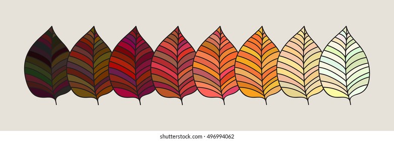 Set of colorful autumn leaves. Vector illustration. Forest design elements. Fall leaf color gradient from yellow  through orange and red to brown tones.