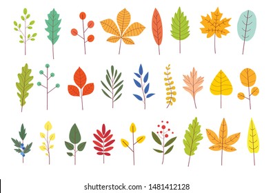 Conjunto de coloridas hojas de otoño. Hoja amarilla de jardín otoñal en simple dibujo de estilo plano. Plantas forestales vectoriales botánicas.