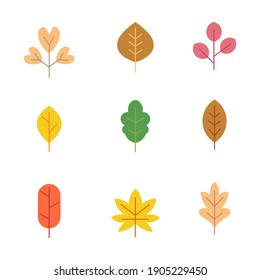 Set of colorful autumn leaves. Yellow autumnal garden leaf, red fall leaf and fallen dry leaves. Botanical forest plants or september october tree foliage. Flat isolated vector symbols set.