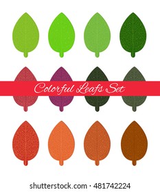 Set of colorful autumn leaves.Boho style. Vector illustration.