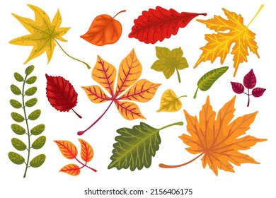 Set of colorful autumn leaves.Cartoon vector graphic.