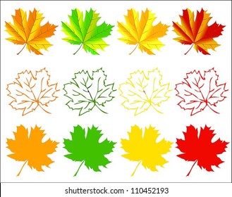 Set of colorful autumn maple leaves, vector eps8