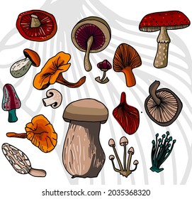 Set of colorful autumn mushrooms.Set of autumn mushrooms in social networks. Colorful banners with autumn illustrations. Autumn stickers. Bright postcards. Vector eps 10