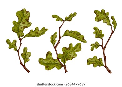 Set of colorful autumn oak branches. Vector graphics.