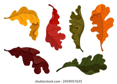 Set of colorful autumn oak leaves. Vector graphics.