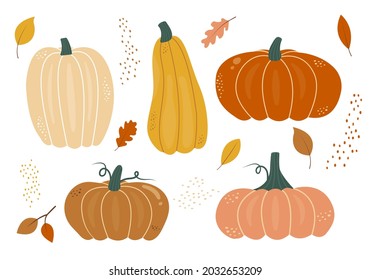 Set of colorful autumn pumpkins of different shapes in flat style. Fall harvest cartoon vegetables. Hand drawn squash elements. Symbol of halloween vector illustration.