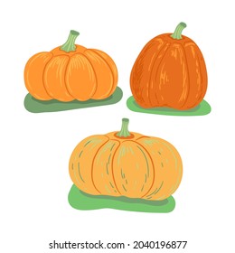 Set of colorful Autumn pumpkins. Harvest. Template for packaging, greeting card, banner, poster, print, web pages design. Hand Drawn vector illustration.