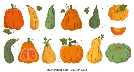 Set colorful autumn pumpkins with noise texture, hand drawn lines in flat style. Design elements for Thanksgiving, Halloween, Harvest festival