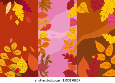 Set colorful autumn templates of autumn fallen leaves orange yellow foliage. Backgrounds social media stories banners. Template for event invitation, product catalog, advertising. Vector isoalted