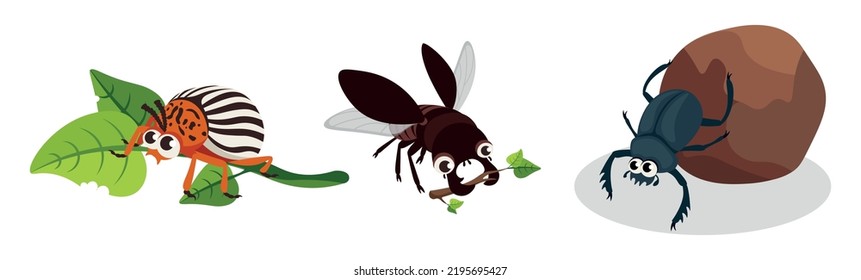 Set of colorful beetles in cartoon style. Vector illustration of the Colorado potato beetle, the dung beetle pushes a ball of mud and the stag beetle flies with branches on white background.