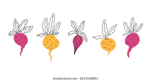 Set of colorful beetroot illustrations with artistic line leaves and vibrant root shapes. Hand-drawn doodle vegetables in pink and yellow for healthy food and kitchen projects
