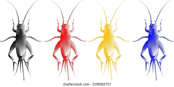 Set of colorful benday dot imprint of house cricket insect, isolated against white. Vector illustration.