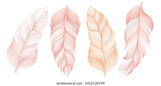 Set of colorful big feathers. Elegant soft colors.