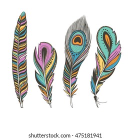 set of colorful bird feathers isolated on white, bright peacock feathers, vector illustration